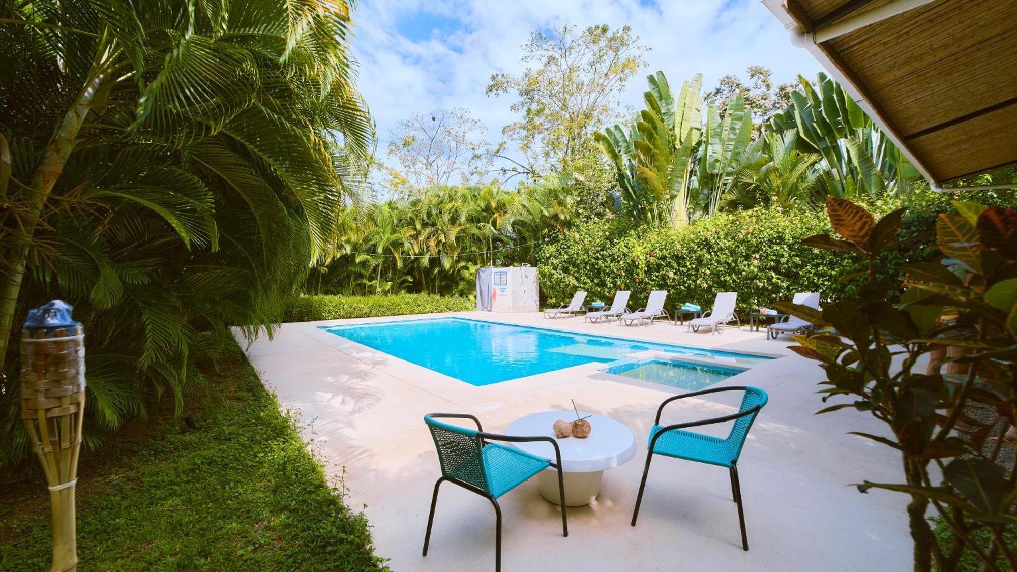 La Tica Y La Gata Hotel Puerto Viejo de Talamanca Eksteriør billede