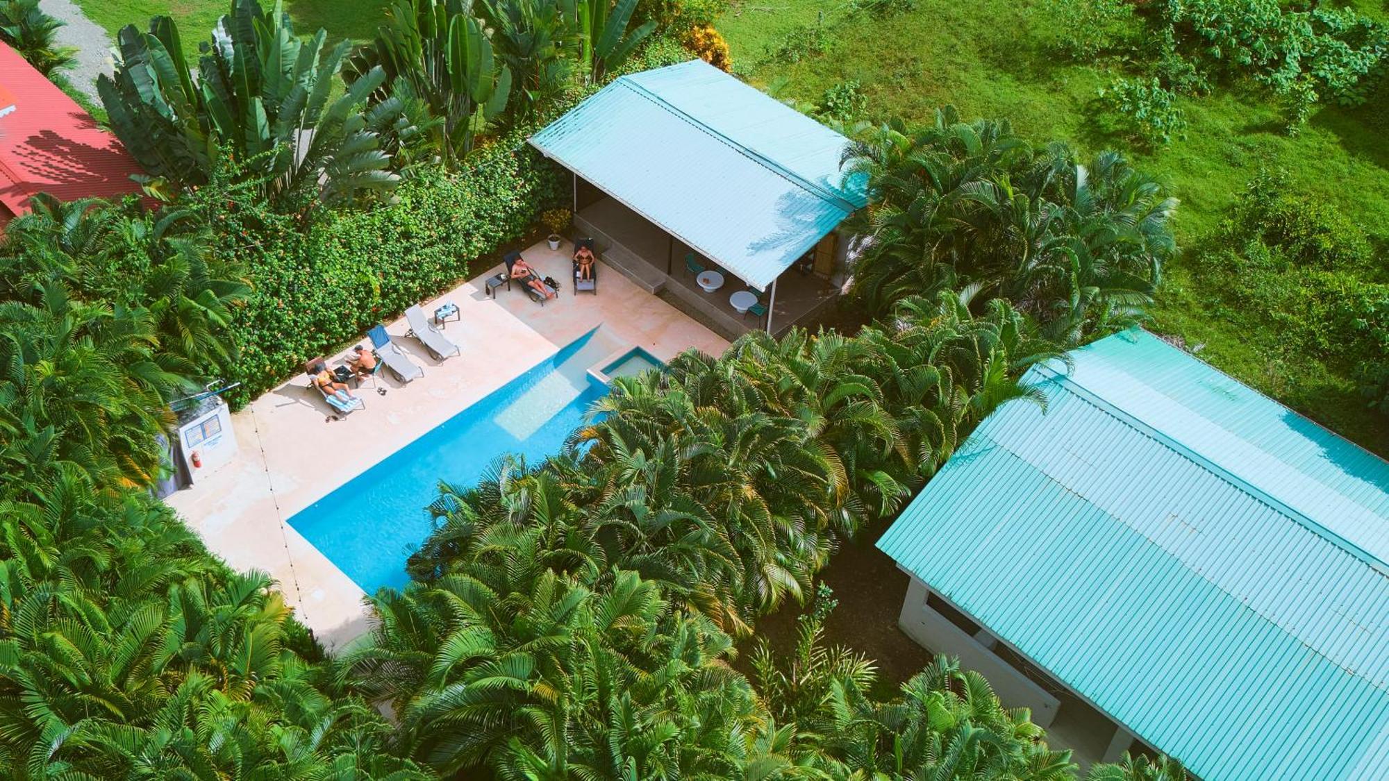 La Tica Y La Gata Hotel Puerto Viejo de Talamanca Eksteriør billede