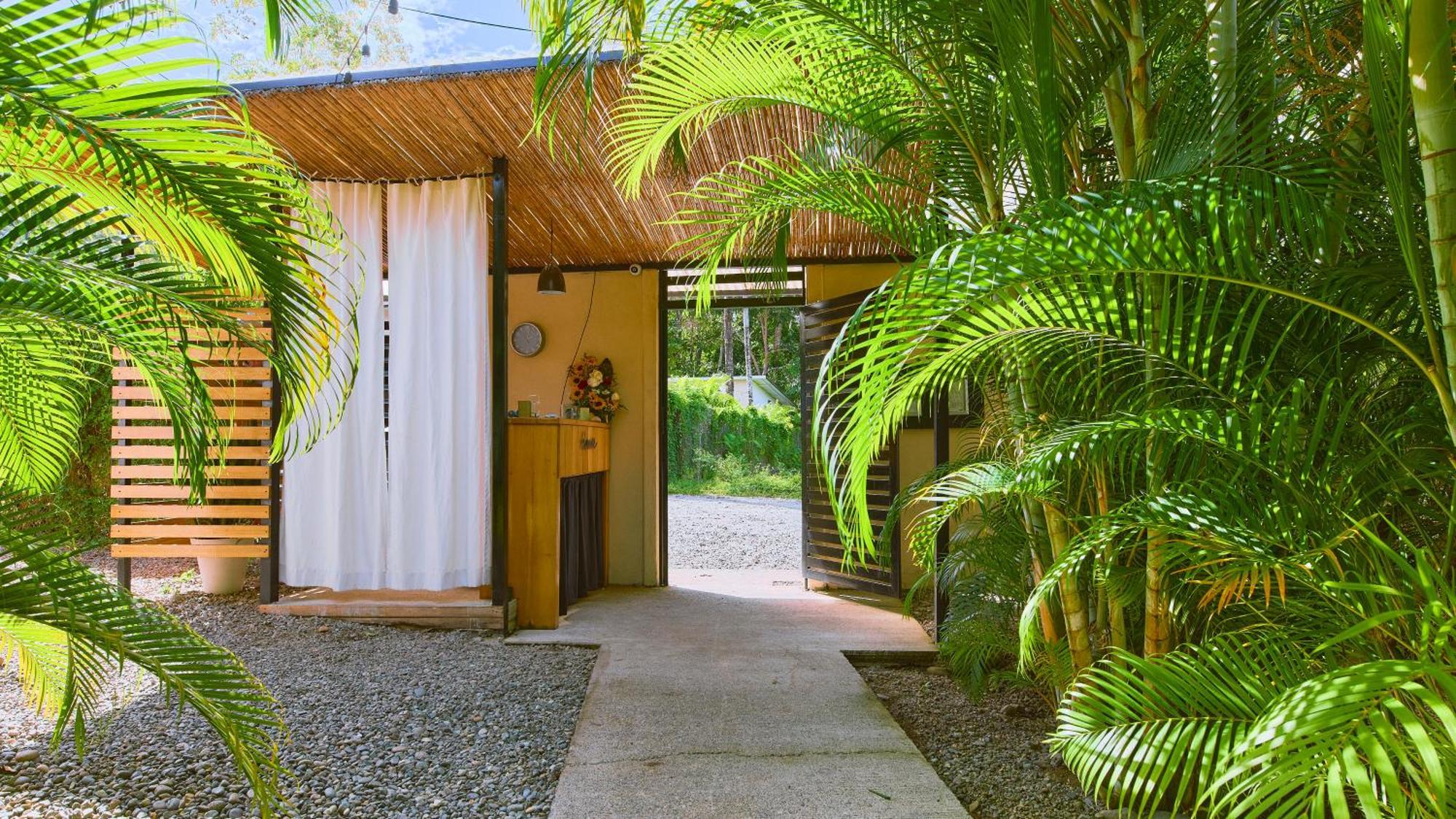 La Tica Y La Gata Hotel Puerto Viejo de Talamanca Eksteriør billede