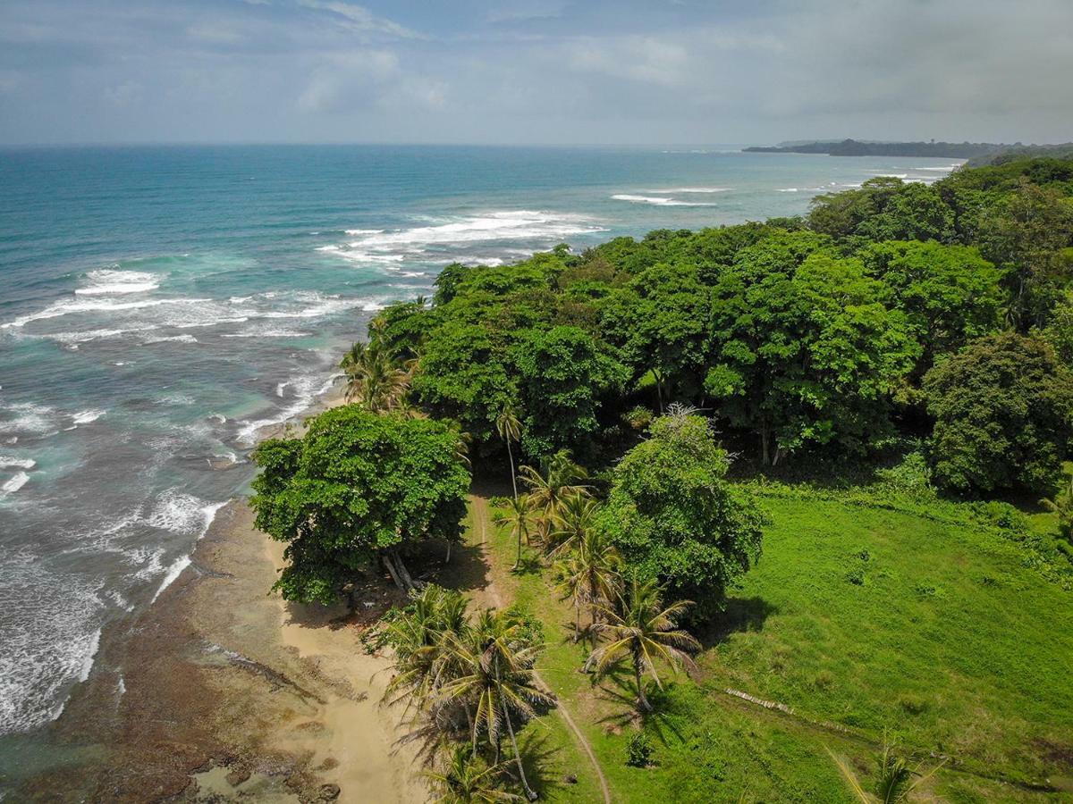 La Tica Y La Gata Hotel Puerto Viejo de Talamanca Eksteriør billede